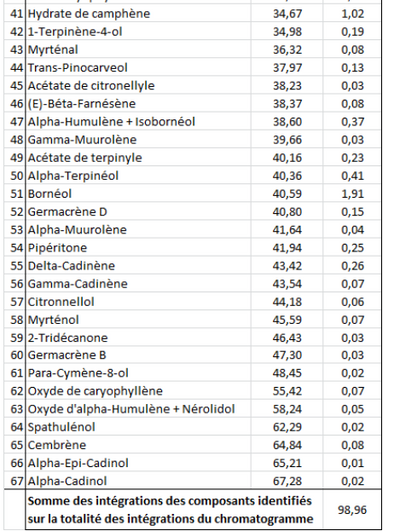 Epicéa commun OB, aiguilles : affections respiratoires, recharge énergétique profonde, ouvrir le message de son ADN!