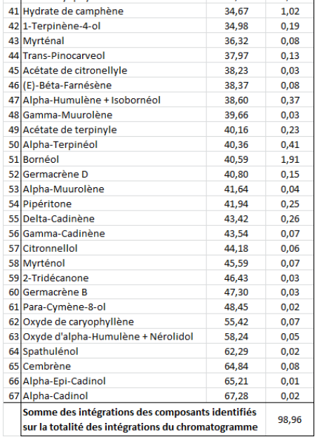 Epicéa commun OB, aiguilles : affections respiratoires, recharge énergétique profonde, ouvrir le message de son ADN!