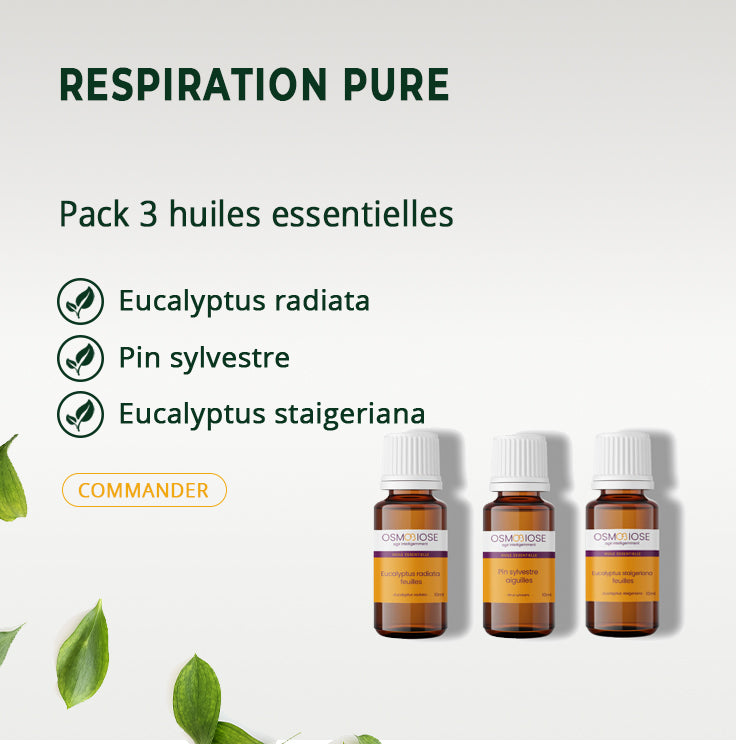 Respiration pure - 10 ml Eucalyptus radiata - 5 ml Pin sylvestre- 5 ml Eucalyptus staigeriana
