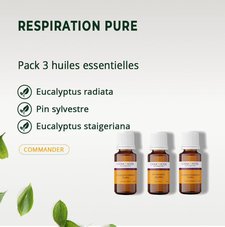 Respiration pure - 10 ml Eucalyptus radiata - 5 ml Pin sylvestre- 5 ml Eucalyptus staigeriana