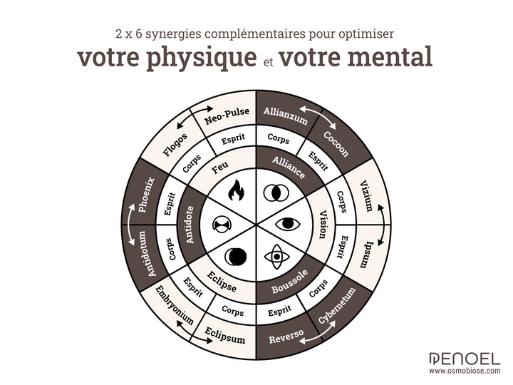 Collection complète Gamme PENOEL – 12 Synergies d’Huiles Essentielles 5ml +  set de 12 marque pages + fascicule cocoon