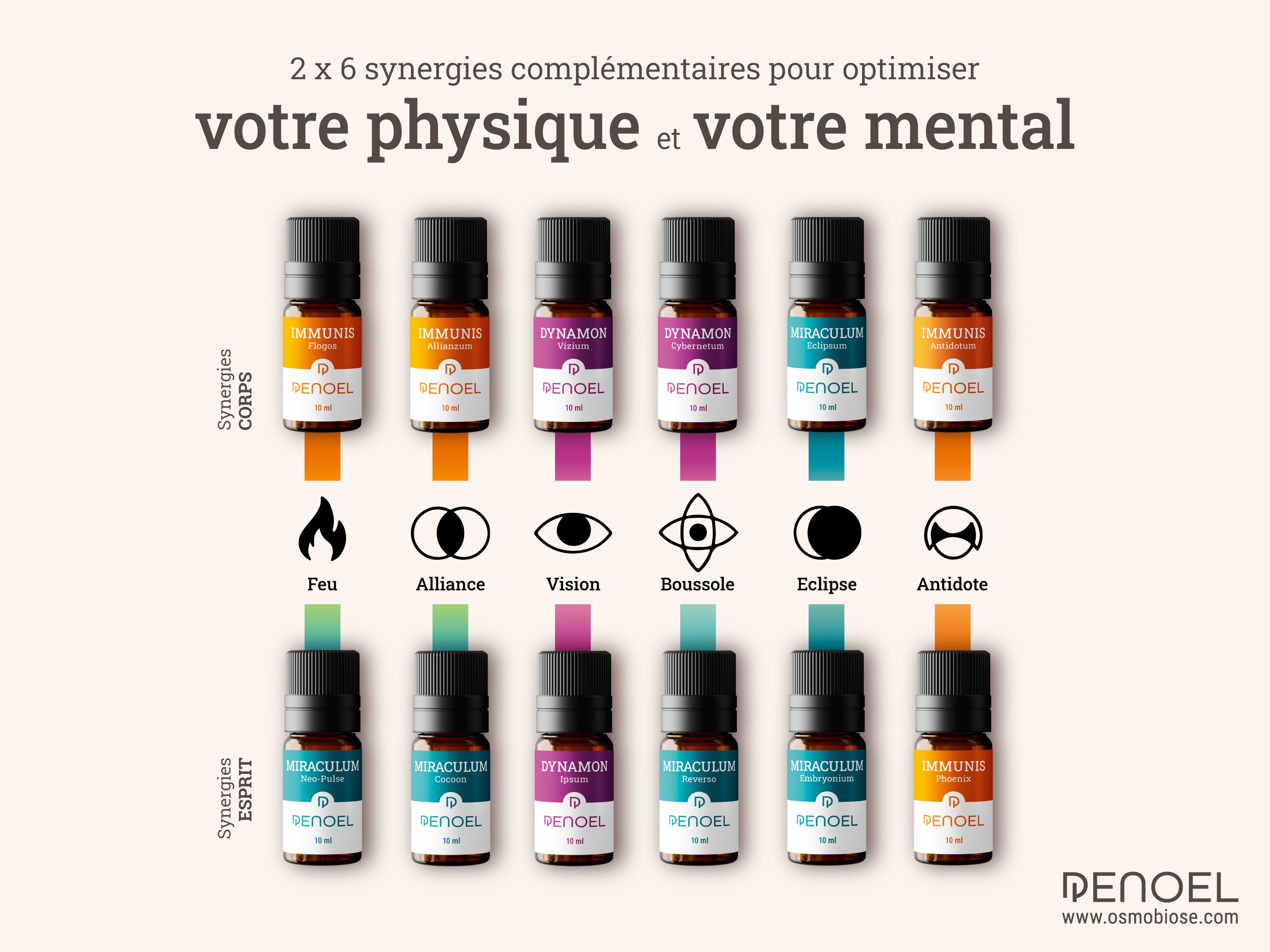 Collection complète Gamme PENOEL – 12 Synergies d’Huiles Essentielles 5ml +  set de 12 marque pages + fascicule cocoon
