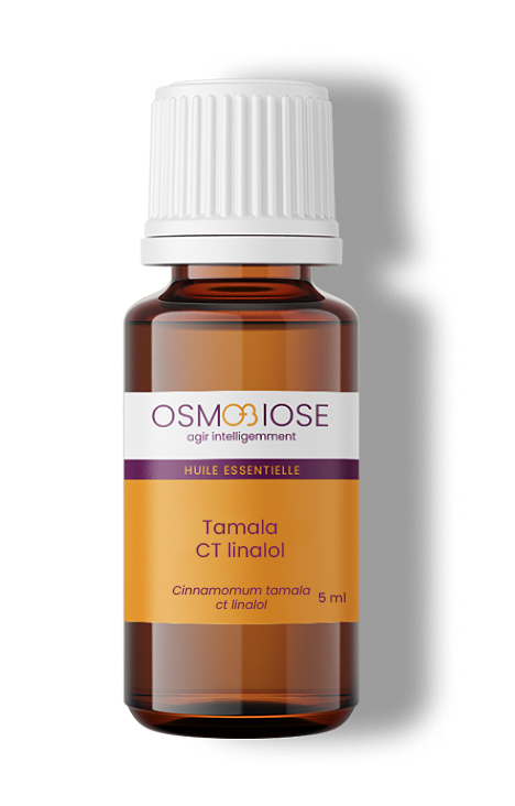 Tamala chémotype linalol OB, feuilles : douce et efficace sur les infections, respiratoire, relaxante