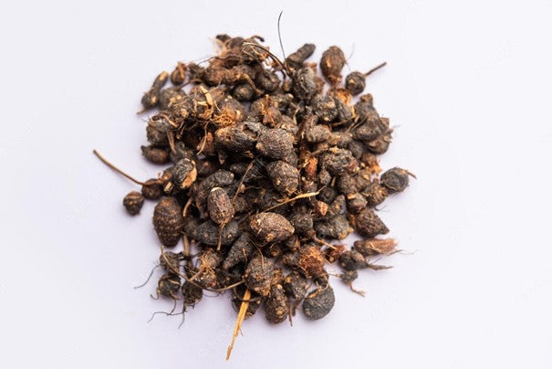 Huile essentielle Cypriol OB, racines  : digestion, respiration, immunité, libération des pressions extérieures
