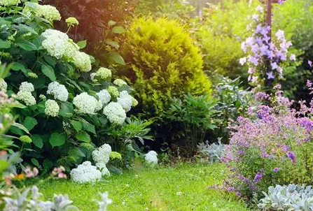 ThermoCalm : 4 huiles essentielles