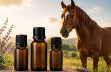 No Pic (chevaux) :  Menthe verte, Shiu, Palmarosa (5 ml)