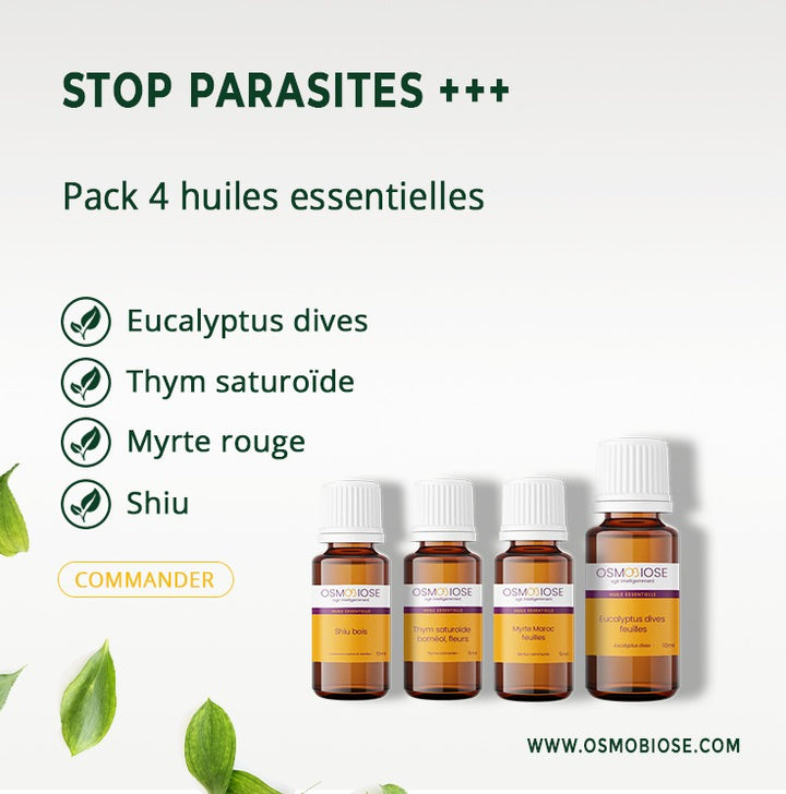 Stop parasites +++ : Action renforcée  : Shiu (5ml) Thym saturoïde (5ml) Myrte rouge (5ml) Eucalyptus dives (10ml)