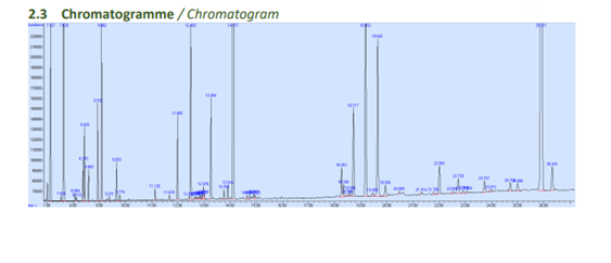 Gingembre ZERUMBO™ (bleu) OB, rhizomes : processus inflammatoires, reprogrammation cellulaire