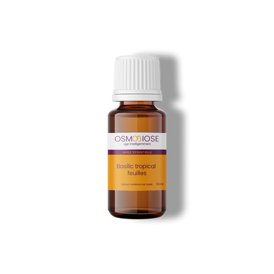 Basilic tropical OB, feuilles : puissante action sur les spasmes, digestive, permet de relâcher les crispations
