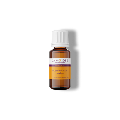 Basilic tropical OB, feuilles : puissante action sur les spasmes, digestive, permet de relâcher les crispations