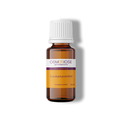Eucalyptus smithii OB, feuilles : grippes, rhumes, douce pour les enfants