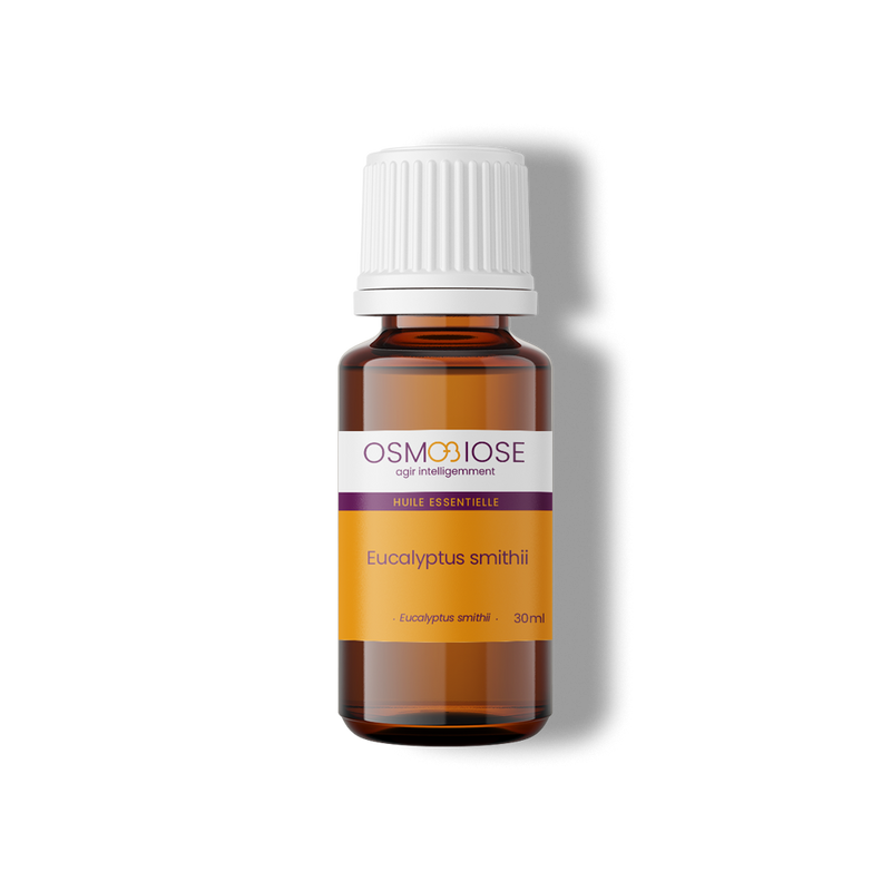 Eucalyptus smithii OB, feuilles : grippes, rhumes, douce pour les enfants