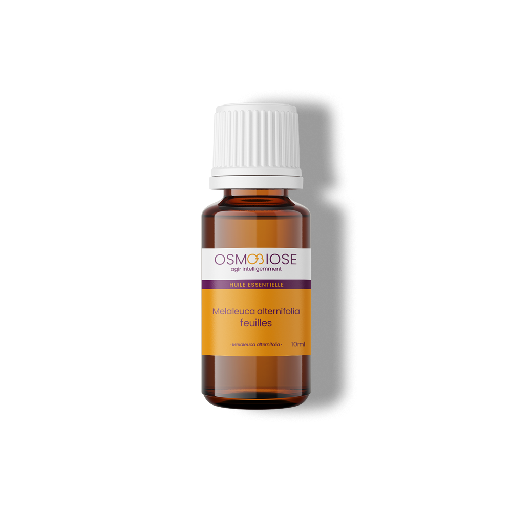 Huile essentielle Tea tree - Melaleuca alternifolia OB, CT chémotype terpinéol-4, feuilles