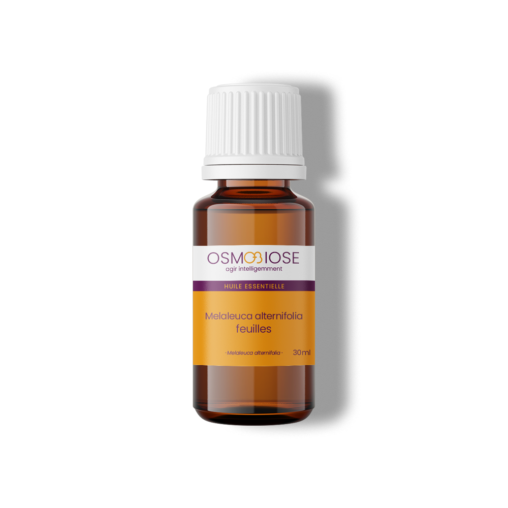 Huile essentielle Tea tree - Melaleuca alternifolia OB, CT chémotype terpinéol-4, feuilles