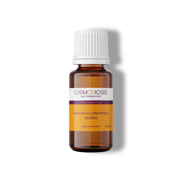 Huile essentielle Tea tree - Melaleuca alternifolia OB, CT chémotype terpinéol-4, feuilles