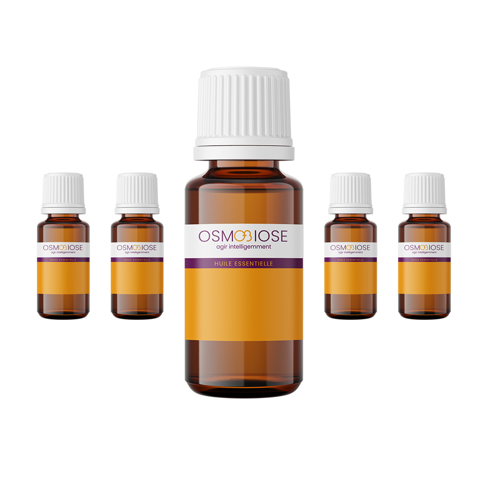 STOP Moustiques OB : Eucalyptus citriodora 5 ml-  Eucalyptus staigeriana 5 ml -  Géranium rosat 5ml